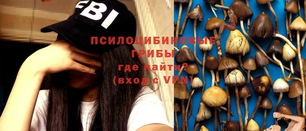 apvp Балабаново