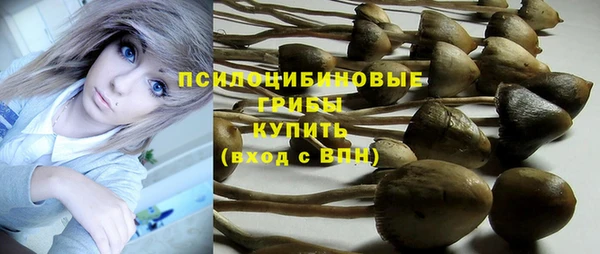 apvp Балабаново
