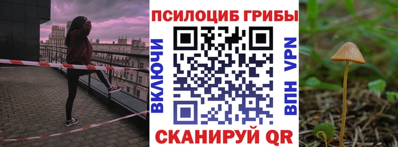 магазин продажи наркотиков  Макаров  гидра зеркало  Галлюциногенные грибы Psilocybe 
